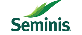 SEMINIS